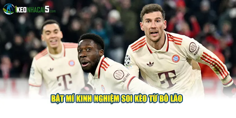 Bật mí kinh nghiệm soi kèo từ bô lão