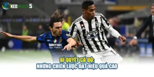 Bí Quyết Cá Độ: Những Chiến Lược Đạt Hiệu Quả Cao