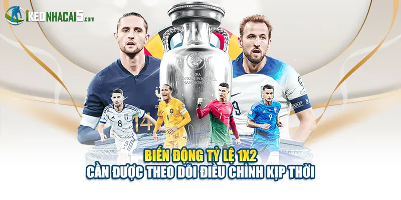 Biến động tỷ lệ 1X2 cần được theo dõi điều chỉnh kịp thời