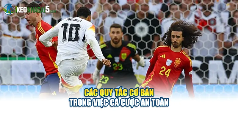 Các quy tắc cơ bản trong việc cá cược an toàn