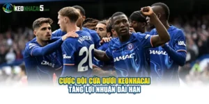 Cược Đội Cửa Dưới Keonhacai Tăng Lợi Nhuận Dài Hạn