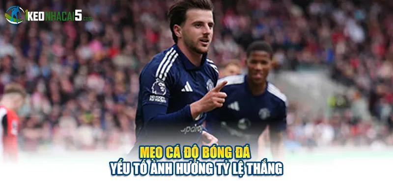 Mẹo cá độ bóng đá  - Yếu tố ảnh hưởng tỷ lệ thắng