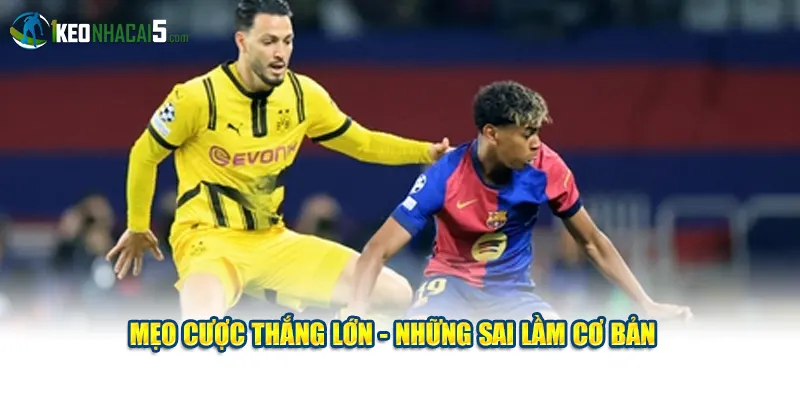 Mẹo cược thắng lớn - Những sai lầm cơ bản 