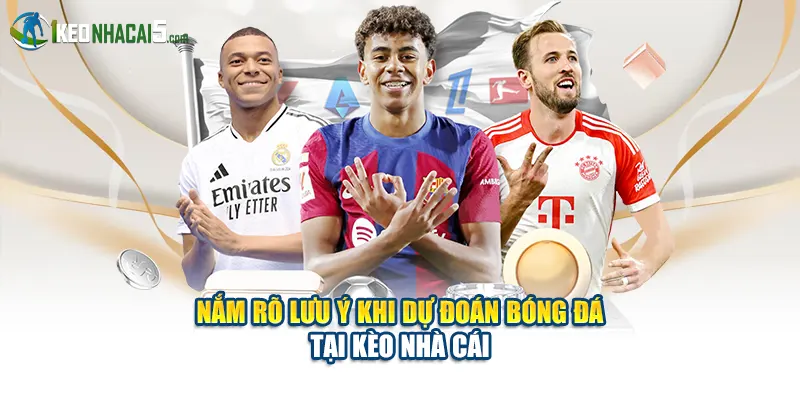 Nắm rõ lưu ý khi dự đoán bóng đá tại Kèo Nhà Cái