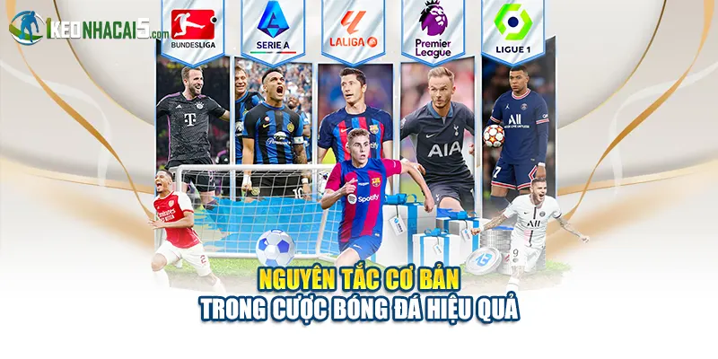 Nguyên tắc cơ bản trong cược bóng đá hiệu quả