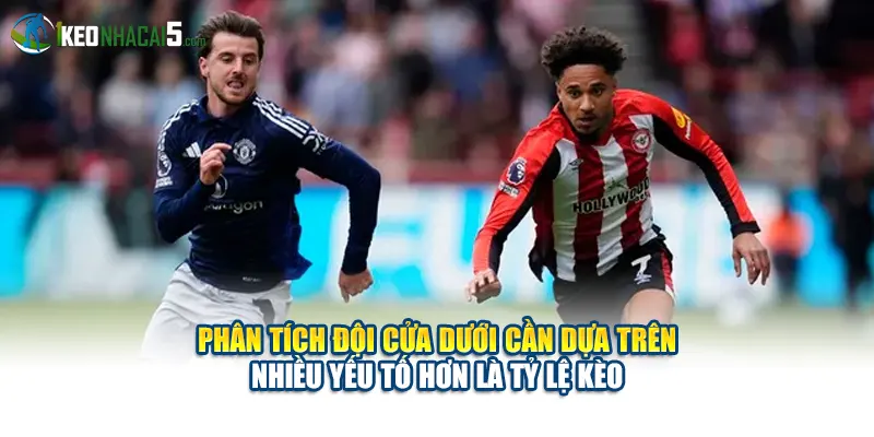 Phân tích đội cửa dưới cần dựa trên nhiều yếu tố hơn là tỷ lệ kèo