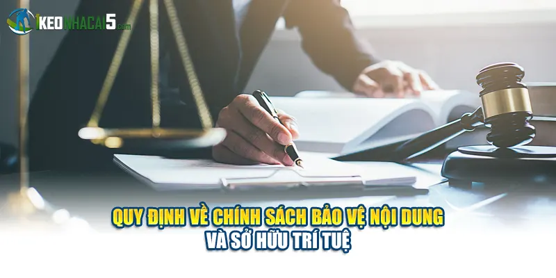 Quy định về chính sách bảo vệ nội dung và sở hữu trí tuệ