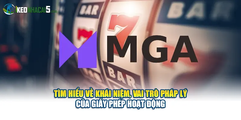 Tìm hiểu về khái niệm, vai trò pháp lý của giấy phép hoạt động